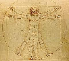 Hombre de Vitruvio