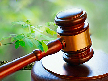 Creación de nuevas políticas ambientales