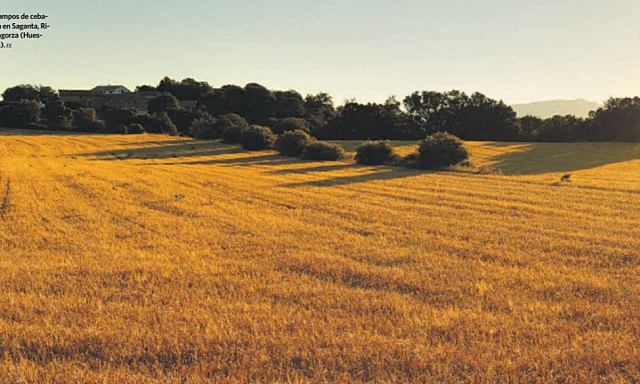 COMO HEMOS FAVORECIDO AL MEDIO AMBIENTE EN EL PASADO