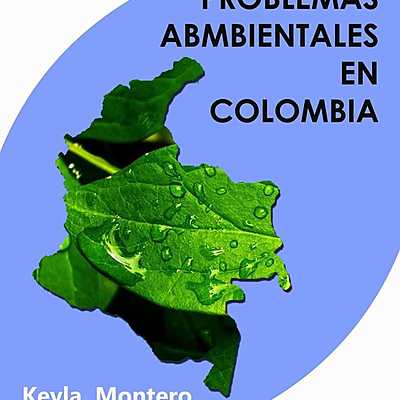 Timeline: Dimensión ambiental - Línea de Tiempo problemática ambiental de la producción y consumo en Colombia y el mundo