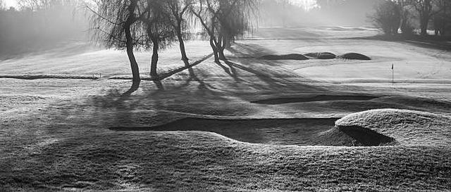 PRINCIPALES PROBLEMAS AMBIENTALES Y LOS DESASTRES AMBIENTALES MUNDIALES EN LA ACTUALIDAD