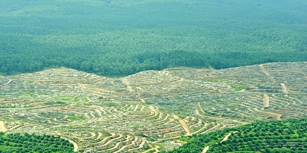 Daño a la Biodiversidad