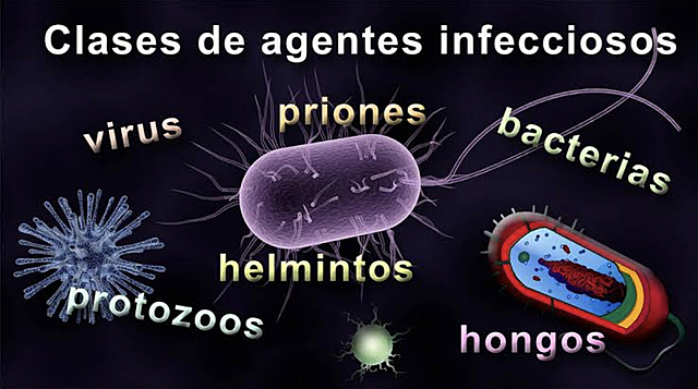 Agentes infecciosos e inmunidad