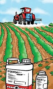 Consumo y Producción Colombiana