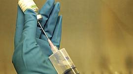 Timeline: Evolución histórica del concepto salud - enfermedad