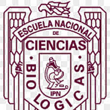 El Politécnico en la calidad