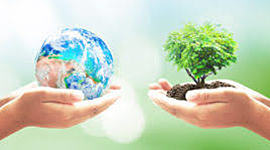 Timeline: Relación e integración de los componentes ambientales