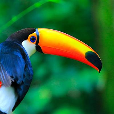 Timeline: Evolución histórica del concepto salud enfermedad