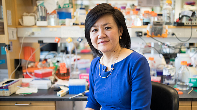 Se ha identificado una enzima que desencadena la enfermedad de Alzheimer