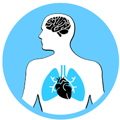 Timeline: Evolución Histórica del Concepto Salud Enfermedad