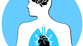 Timeline: Evolución Histórica del Concepto Salud Enfermedad