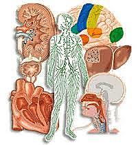 Ciencia moderna en su auge...