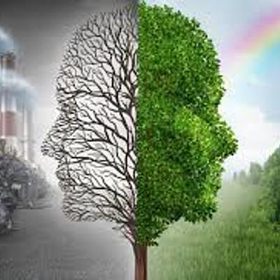 Timeline: HISTORIA DEL MEDIO AMBIENTE