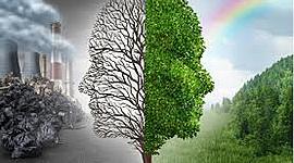 Timeline: HISTORIA DEL MEDIO AMBIENTE