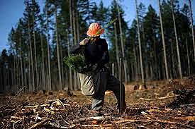 Tipos contaminación frente a la naturaleza