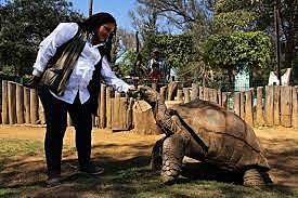Convención preservación de los animales silvestres, pájaros y peces del áfrica