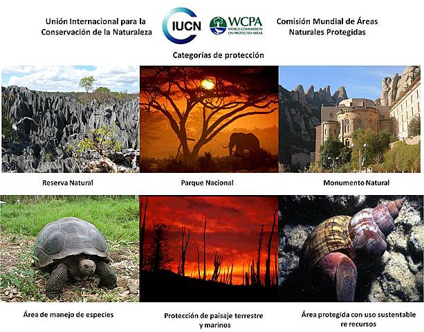 Unión internacional de protección natural (IUPN)
