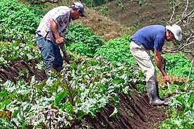 Explotación agraria