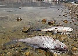 •	2018 Hidroituango.