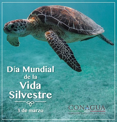 Medidas de aseguramiento