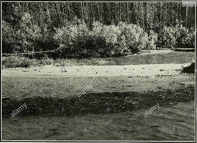 Se toma la ecologia como ciencia