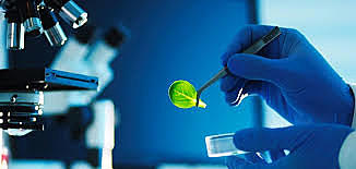 Concepto de Salud Modernizado