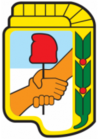 Constitución formal del Partido Peronista