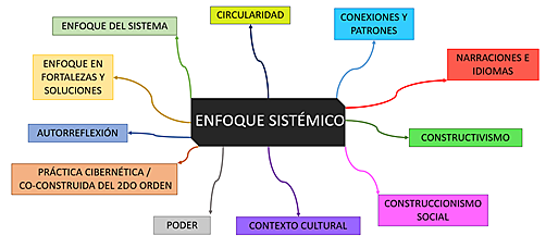 El enfoque sistemico