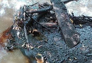 Emergencia Ambiental