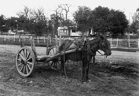 En la época del imperio español, el sistema de transporte predominante era el animal