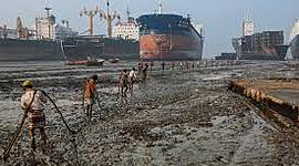 Timeline: Dimensión Ambiental