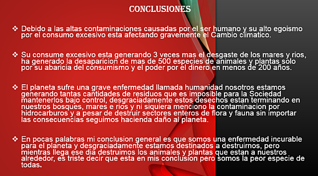 Conclusiones