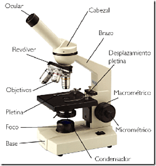 El invento del microscopio a finales del siglo XVll