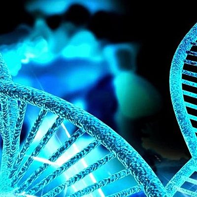 Timeline: Historia de la Genética