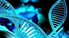 Timeline: Historia de la Genética