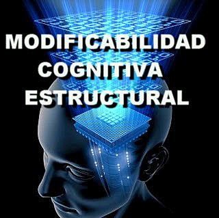 Feuerstein Reuven,Teoría de la Modalidad Cognitiva