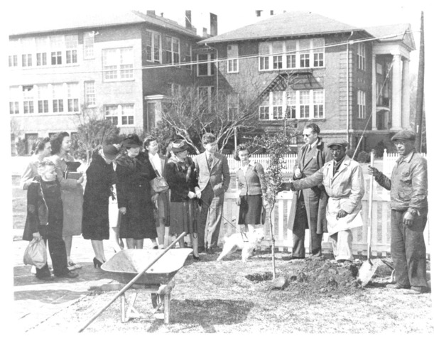 Tree planted on Arbor Day