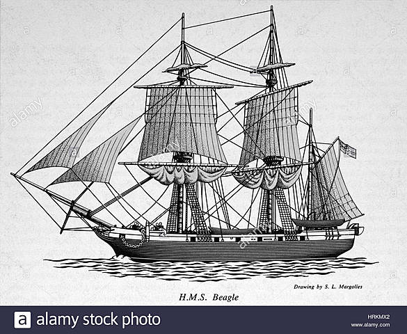 Charles Darwin - HMS Beagle