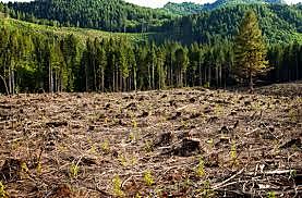 Procesos de intervención y alteración del medio natural