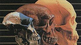 Timeline: EVOLUCIÓN DEL PENSAMIENTO ADMINISTRATIVO.