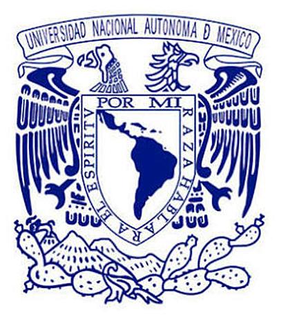 UNAM