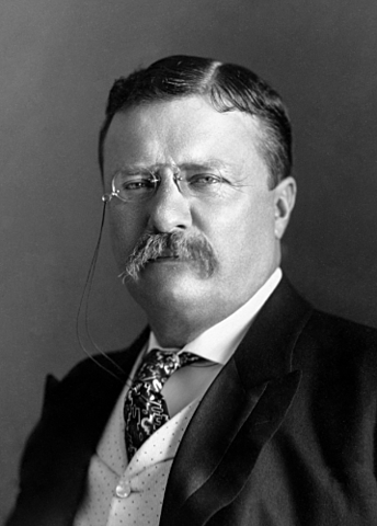 Theodore Roosevelt Becomes President