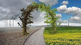 Timeline: problemática ambiental