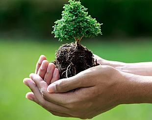 Union internacional para la conservación de la naturaleza y los recursos naturales