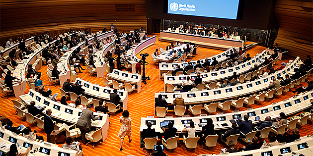 La OMS en su XXX Asamblea