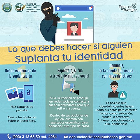 Lineamientos de protección de datos personales.