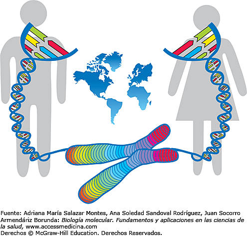 Proyecto de Genoma humano