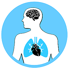 Concepto de campo de salud.