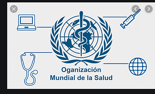 Expertos de la OMS definió la salud como un estado de completo bienestar físico, mental y social