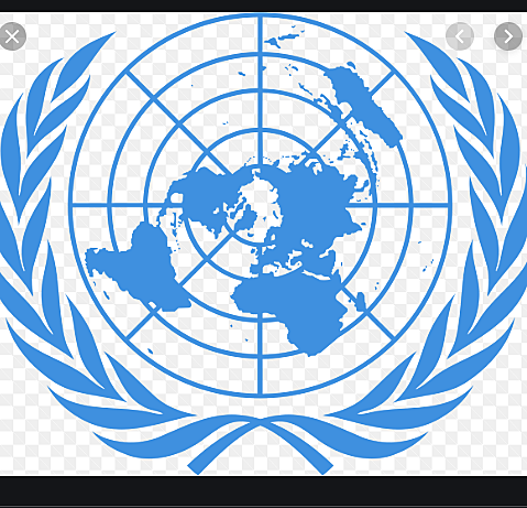 El Programa de las Naciones Unidas para el Desarrollo, vincula la salud y el desarrollo y las concibe desde la perspectiva del desarrollo humano